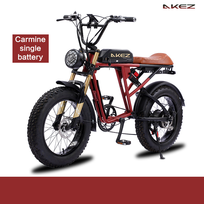 AKEZ S2 48V 750W Fat Tire E-Bike | 20" Tires, 45 KM/H Top Speed