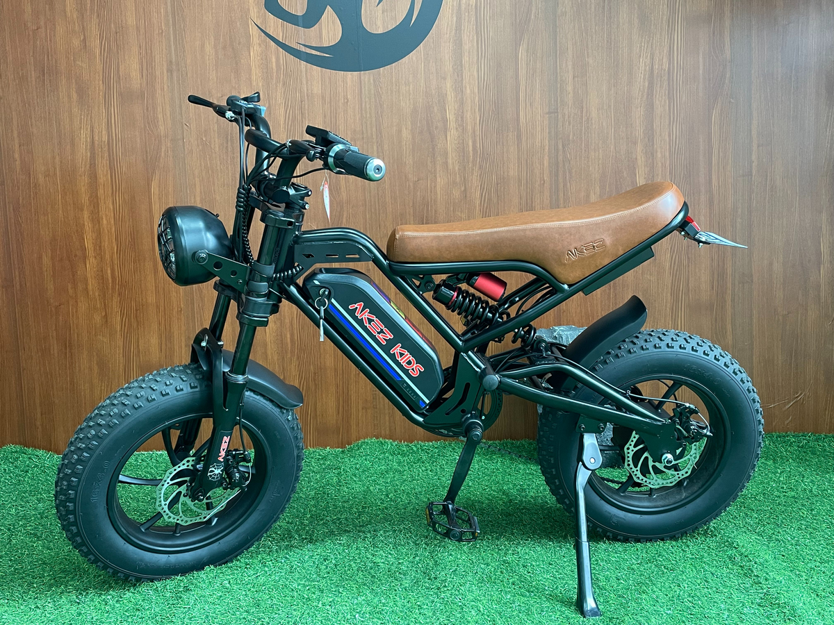 AKEZ KIDS-Factory Direct 36V 350W Electric Bike | 28 KM/H Top Speed | 20โ x 16โ Tires