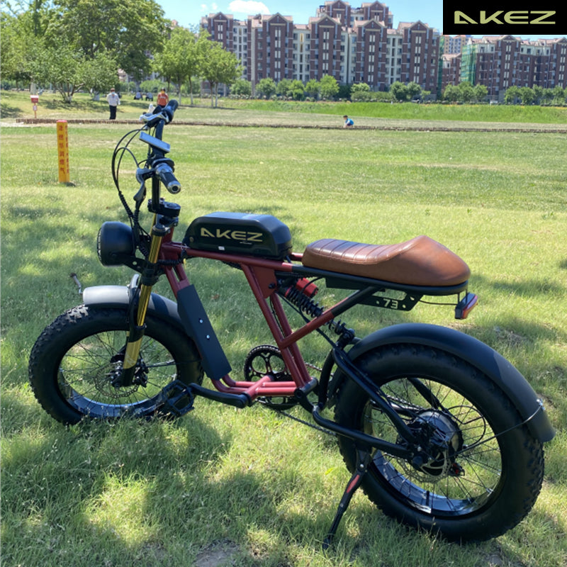 AKEZ S2 48V 750W Fat Tire E-Bike | 20" Tires, 45 KM/H Top Speed