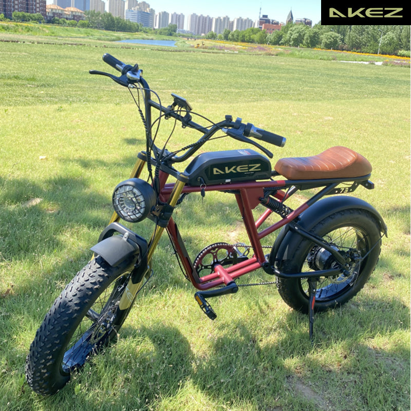 AKEZ S2 48V 750W Fat Tire E-Bike | 20" Tires, 45 KM/H Top Speed