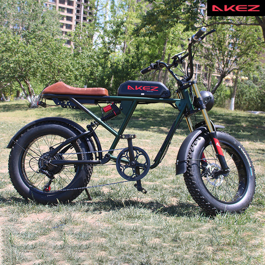 AKEZ S2 48V 750W Fat Tire E-Bike | 20" Tires, 45 KM/H Top Speed