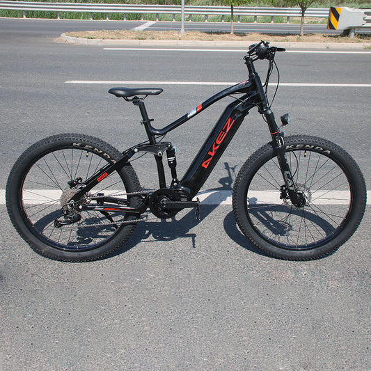 AKEZ Bafang Mid Motor E-Bike