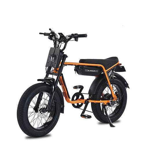 AKEZ ZX 48V 750W Fat Tire E-Bike | 20" Tires, 45 KM/H Top Speed