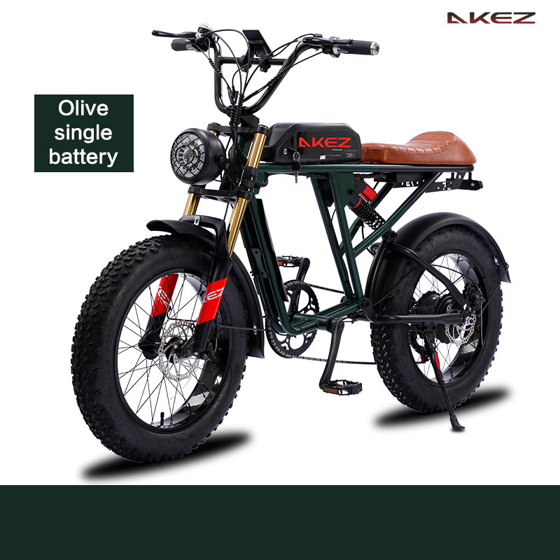 AKEZ S2 48V 750W Fat Tire E-Bike | 20" Tires, 45 KM/H Top Speed