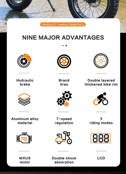 AKEZ Jaguar E-Bike