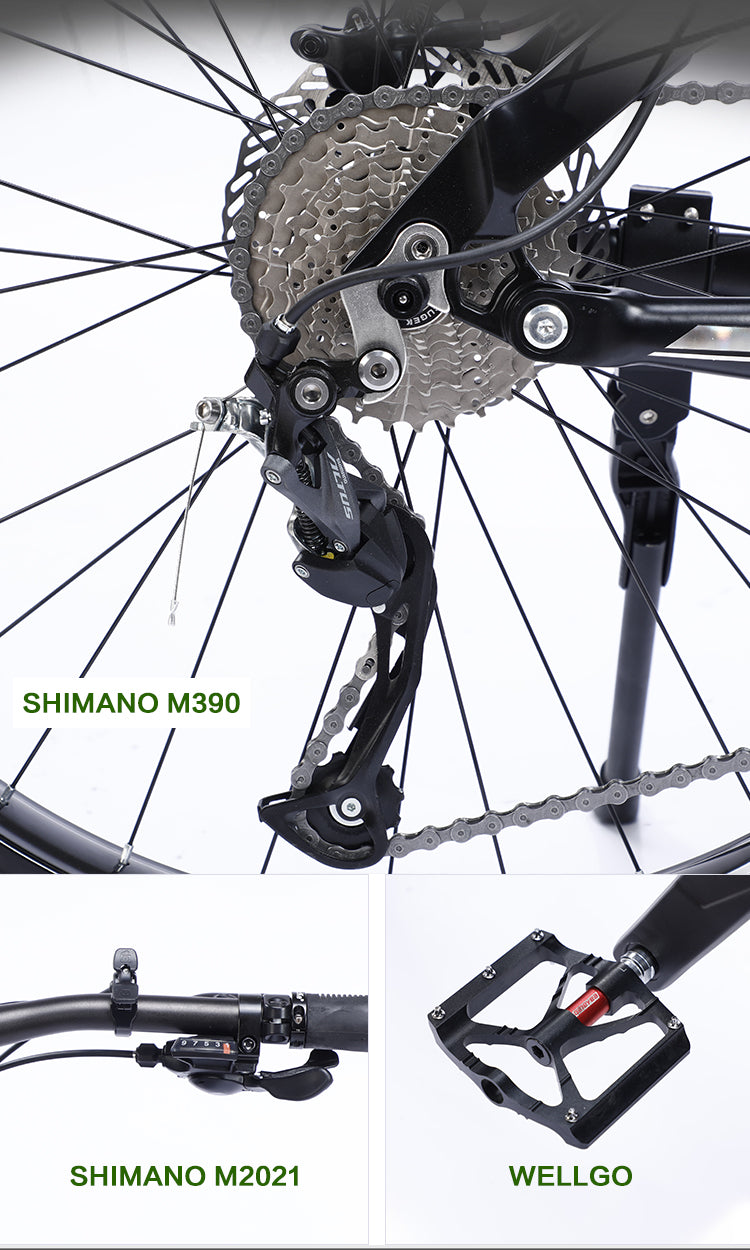 AKEZ Bafang Mid Motor E-Bike