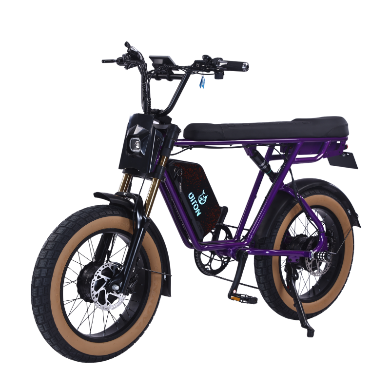 DITON D1 MAX-Factory Direct 750W Dual Motor Electric Bike 30MPH 48V 25Ah Fat Tire EBike
