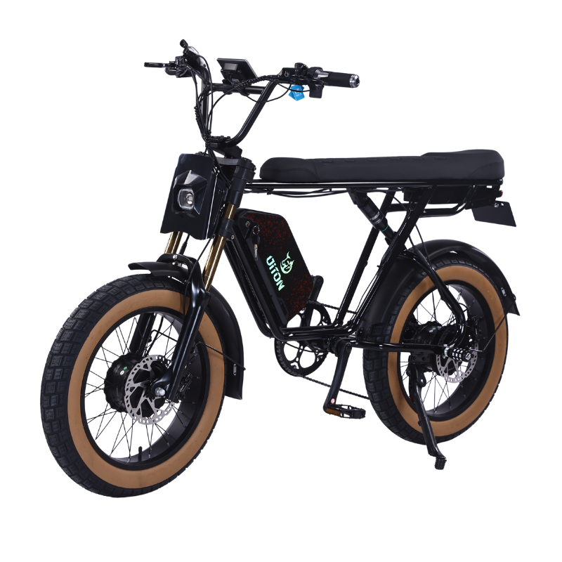 DITON D1 MAX-Factory Direct 750W Dual Motor Electric Bike 30MPH 48V 25Ah Fat Tire EBike