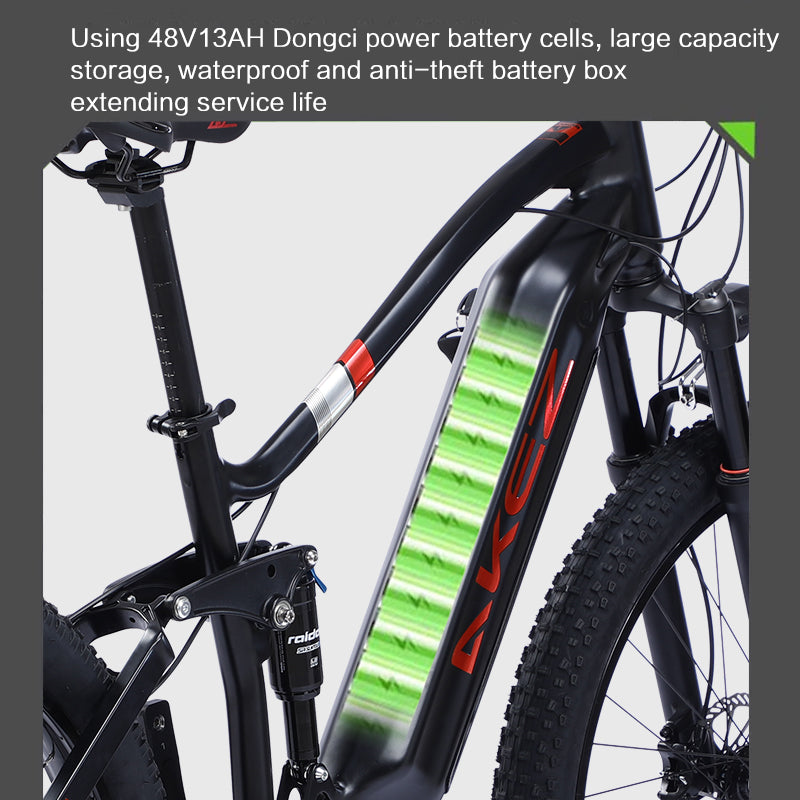 AKEZ Bafang Mid Motor E-Bike