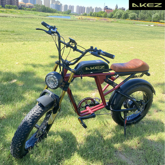 AKEZ S2 48V 750W Fat Tire E-Bike | 20" Tires, 45 KM/H Top Speed