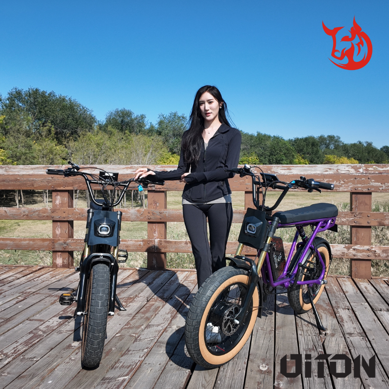 DITON D1 MAX-Factory Direct 750W Dual Motor Electric Bike 30MPH 48V 25Ah Fat Tire EBike