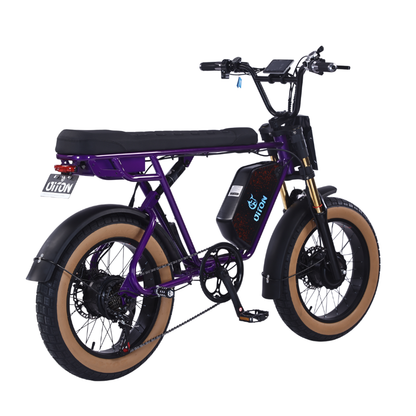 DITON D1 MAX-Factory Direct 750W Dual Motor Electric Bike 30MPH 48V 25Ah Fat Tire EBike