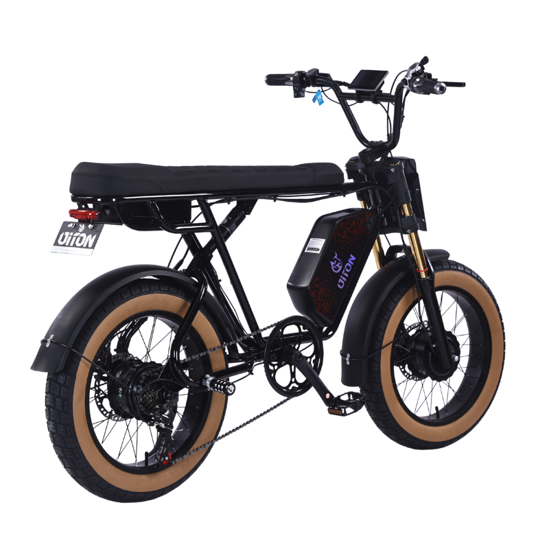 DITON D1 MAX-Factory Direct 750W Dual Motor Electric Bike 30MPH 48V 25Ah Fat Tire EBike