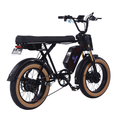 DITON D1 MAX-Factory Direct 750W Dual Motor Electric Bike 30MPH 48V 25Ah Fat Tire EBike