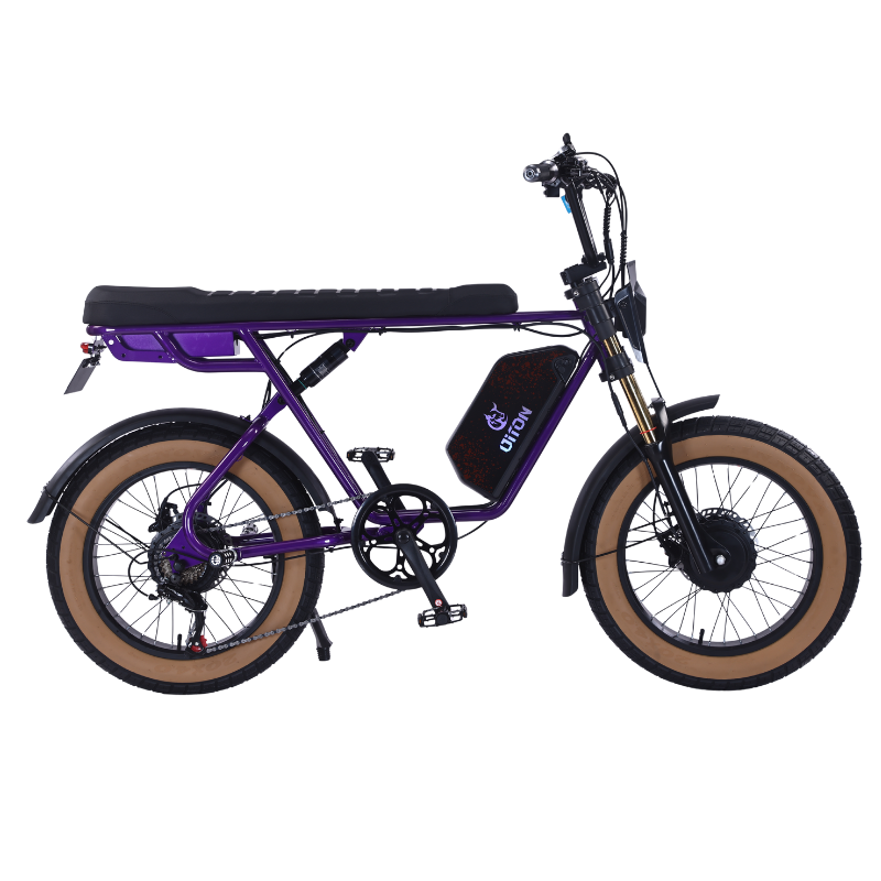 DITON D1 MAX-Factory Direct 750W Dual Motor Electric Bike 30MPH 48V 25Ah Fat Tire EBike