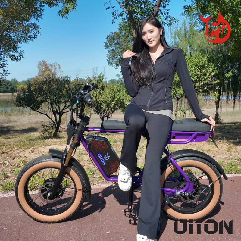 DITON D1 MAX-Factory Direct 750W Dual Motor Electric Bike 30MPH 48V 25Ah Fat Tire EBike