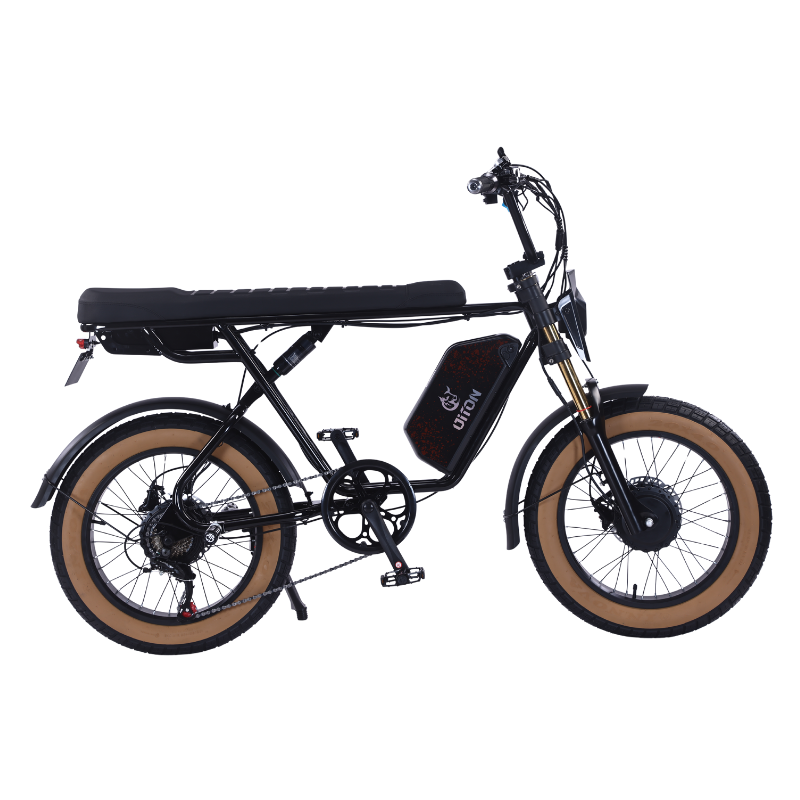 DITON D1 MAX-Factory Direct 750W Dual Motor Electric Bike 30MPH 48V 25Ah Fat Tire EBike