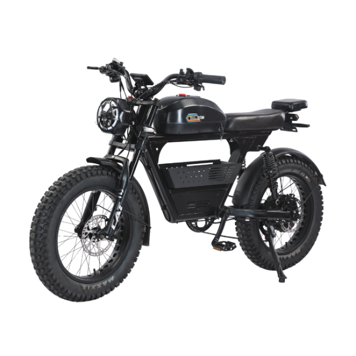 AKEZ-DITON 52V 1500W Fat Tire E-Bike | 20" Tires 30AH,Max Speed 34mph