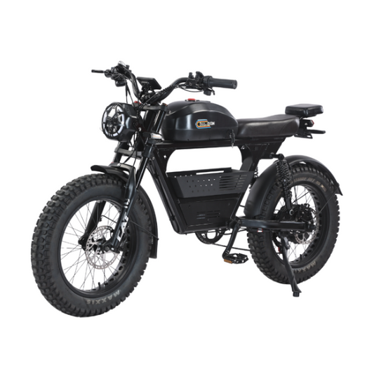 AKEZ-DITON 52V 1500W Fat Tire E-Bike | 20" Tires 30AH,Max Speed 34mph