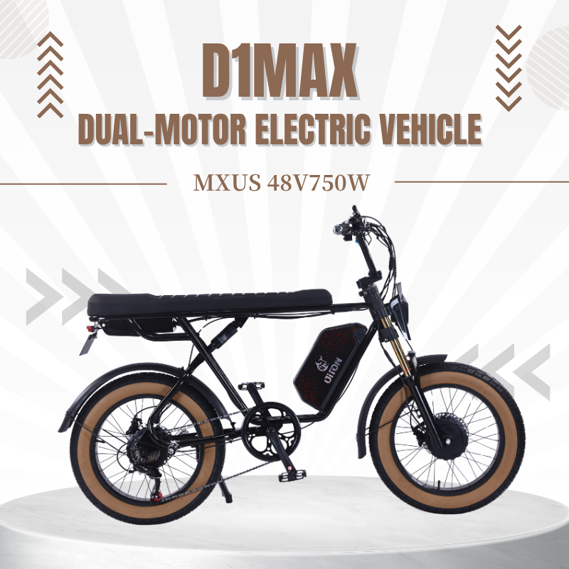 DITON D1 MAX-Factory Direct 750W Dual Motor Electric Bike 30MPH 48V 25Ah Fat Tire EBike
