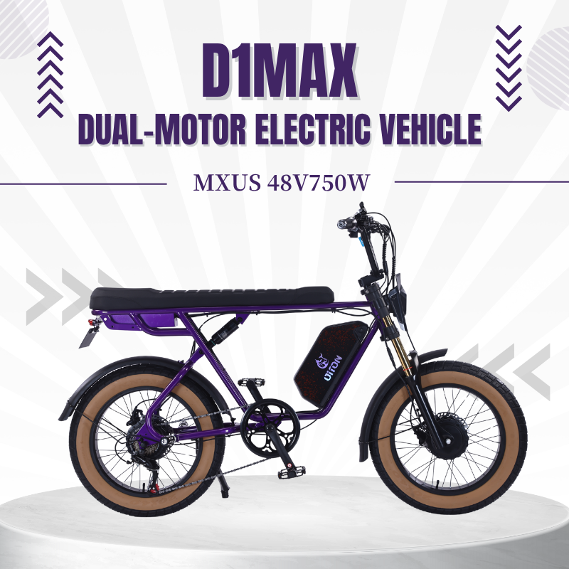 DITON D1 MAX-Factory Direct 750W Dual Motor Electric Bike 30MPH 48V 25Ah Fat Tire EBike