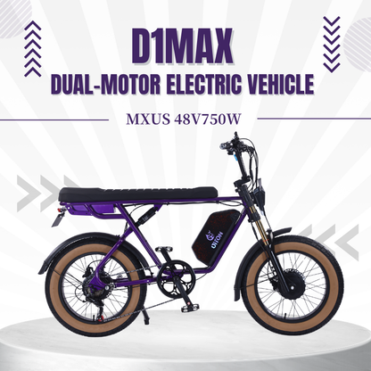 DITON D1 MAX-Factory Direct 750W Dual Motor Electric Bike 30MPH 48V 25Ah Fat Tire EBike