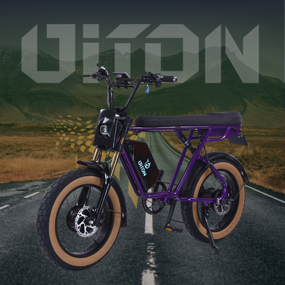 DITON D1 MAX-Factory Direct 750W Dual Motor Electric Bike 30MPH 48V 25Ah Fat Tire EBike
