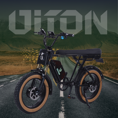 DITON D1 MAX-Factory Direct 750W Dual Motor Electric Bike 30MPH 48V 25Ah Fat Tire EBike