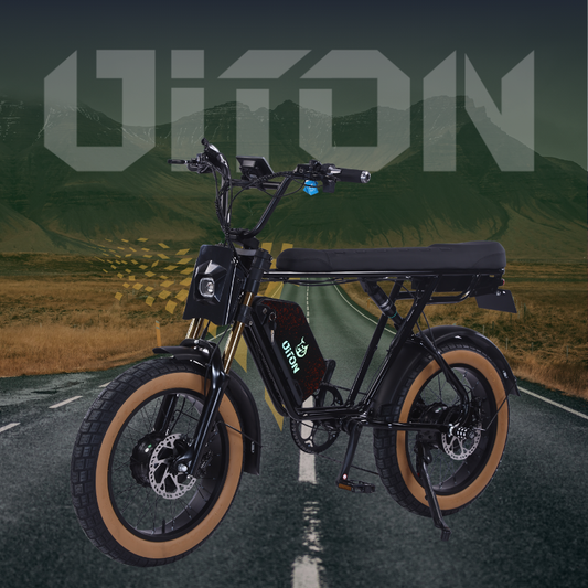 DITON D1 MAX-Factory Direct 750W Dual Motor Electric Bike 30MPH 48V 25Ah Fat Tire EBike
