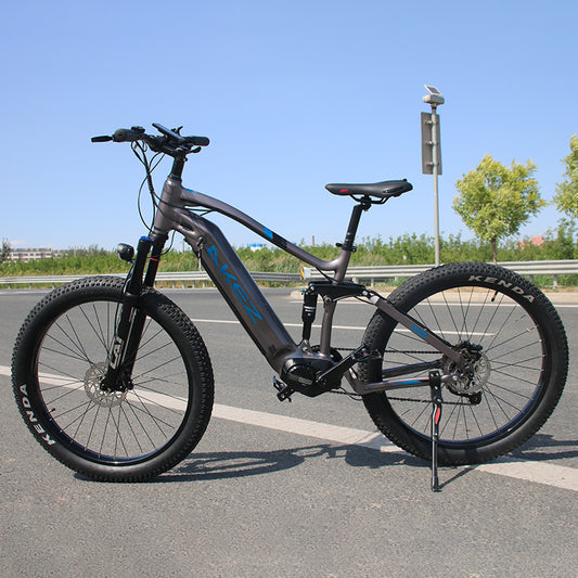 AKEZ Bafang Mid Motor E-Bike
