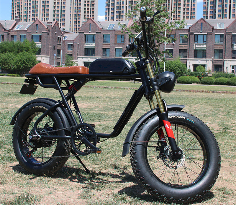 AKEZ S1 48V 750W Fat Tire E-Bike | 20" Tires, 45 KM/H Top Speed