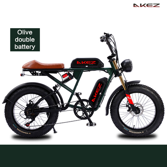 AKEZ 20″Fat Tire E-Bike S2