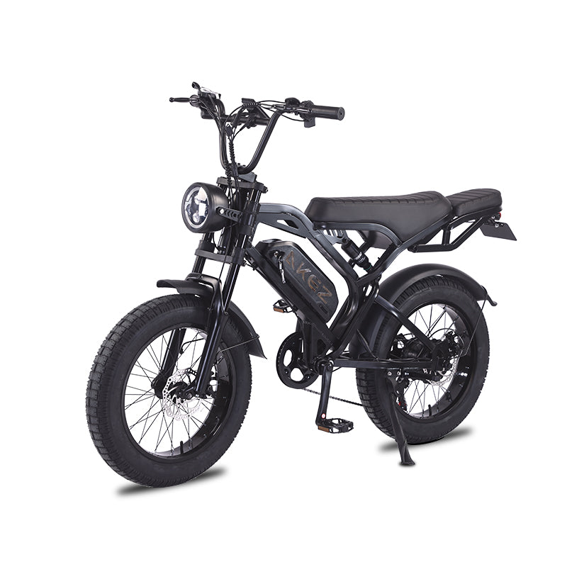 AKEZ M2-Factory Direct 48V 750W Fat Tire E-Bike | 20" Tires, 28 MPH Top Speed