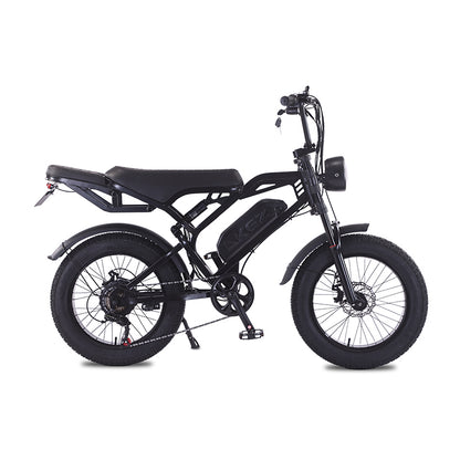 AKEZ M2-Factory Direct 48V 750W Fat Tire E-Bike | 20" Tires, 28 MPH Top Speed