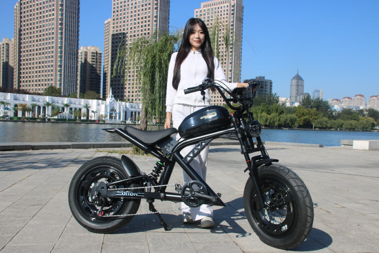 AKEZ-DITON Harley 52V 1500W Fat Tire Electric Bike | 20" Tires 30AH,Max Speed 34mph