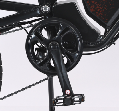 AKEZ Ebike Crank