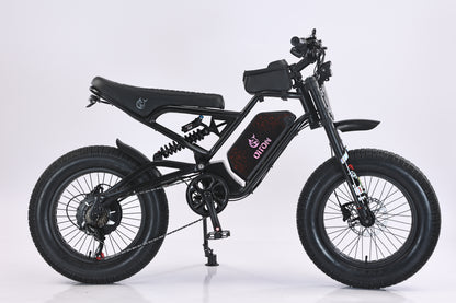 AKEZ DITON D9 52V 1500W Fat Tire E-Bike | 20" Tires, 55 KM/H Top Speed
