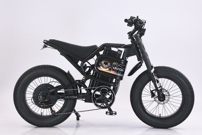 DITON S300-Factory Direct Fat Tire Electric Bike | 20" x 4.5", 44MPH High-Speed EBike