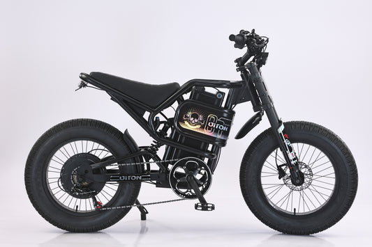 AKEZ DITON S300 60V 3000W Fat Tire Electric Bike | 20" x 4.5", 44MPH High-Speed E-Bike