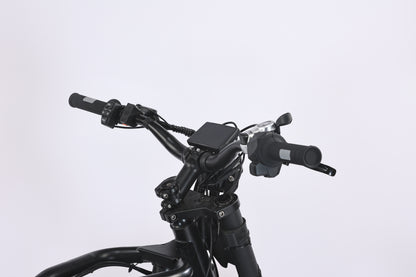 DITON S300-Factory Direct Fat Tire Electric Bike | 20" x 4.5", 44MPH High-Speed EBike