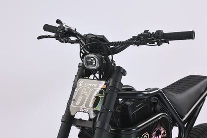 DITON S300-Factory Direct Fat Tire Electric Bike | 20" x 4.5", 44MPH High-Speed EBike