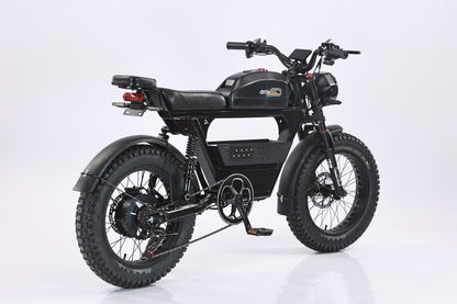 DITON D9 S300 AND TANKPRO Taillight and Turning Light set