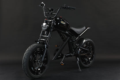 AKEZ-DITON Harley 52V 1500W Fat Tire Electric Bike | 20" Tires 30AH,Max Speed 34mph