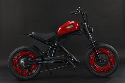 AKEZ-DITON Harley 52V 1500W Fat Tire Electric Bike | 20" Tires 30AH,Max Speed 34mph