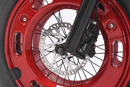 AKEZ-DITON Harley 52V 1500W Fat Tire Electric Bike | 20" Tires 30AH,Max Speed 34mph