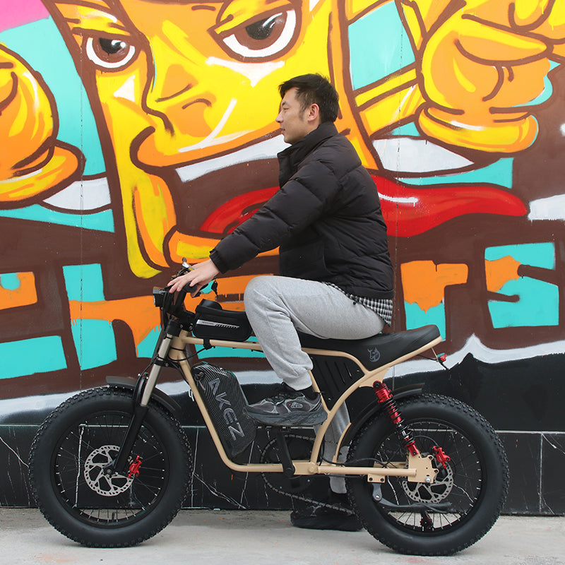 AKEZ X9-Factory Direct UL2849 1500W Electric Bike 48V 18.2Ah 28MPH Fat Tire E-Bike
