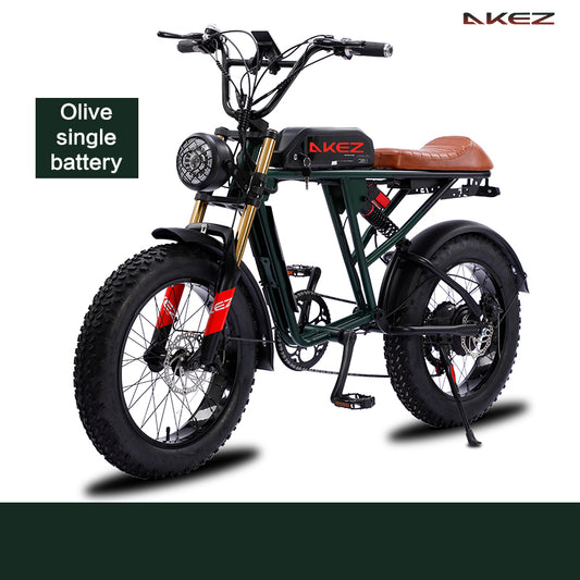 AKEZ 20″Fat Tire E-Bike S2
